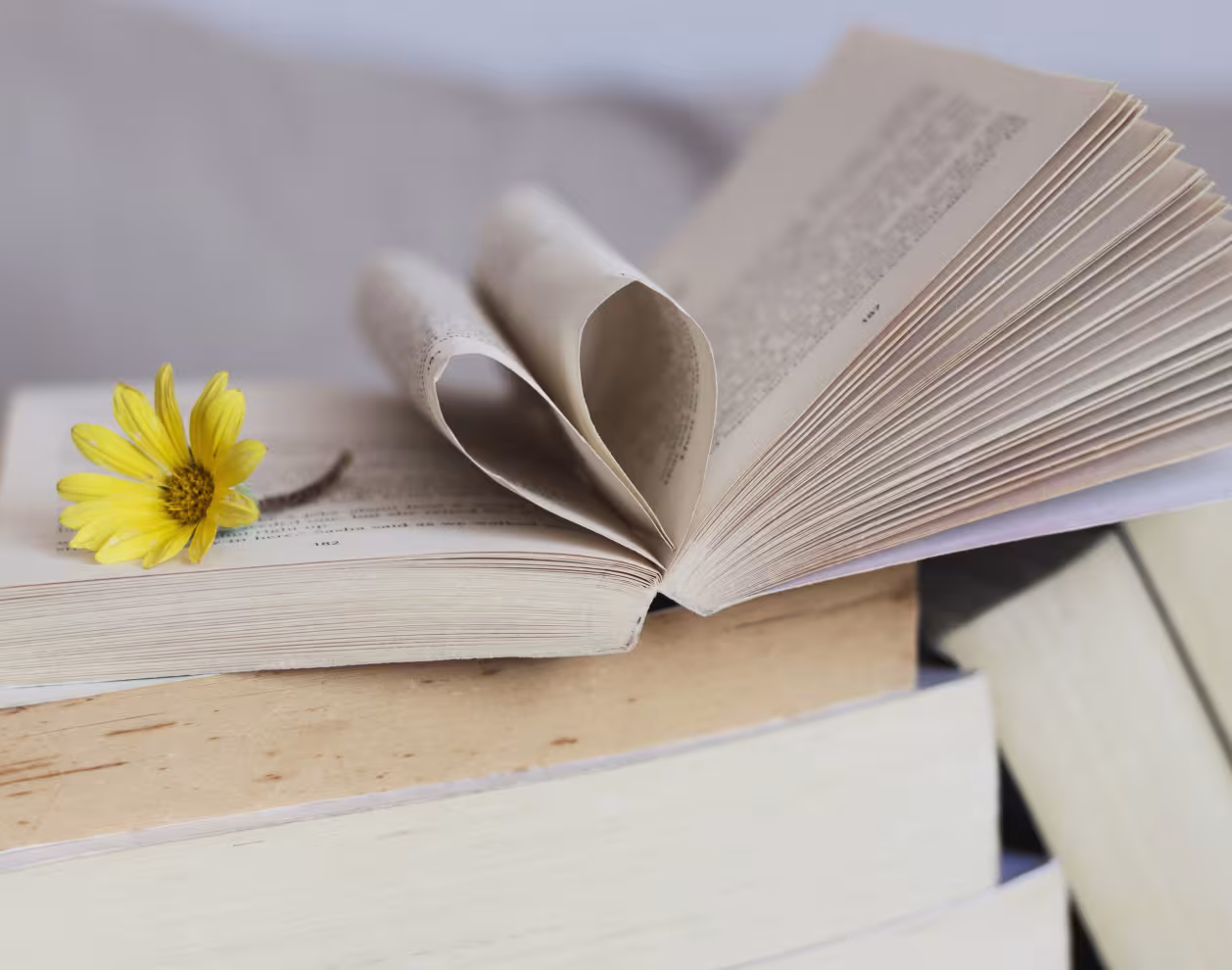 Recueils et une fleur