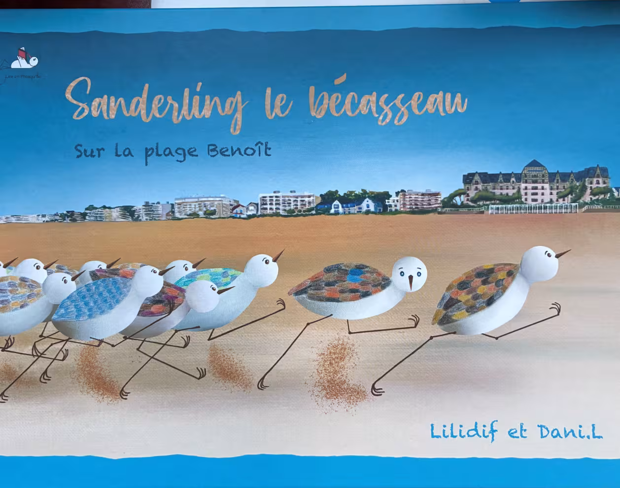 Couverture de Sanderling le bécasseau sur la plage Benoît
